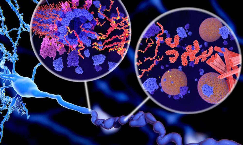 ipamorelina segurança